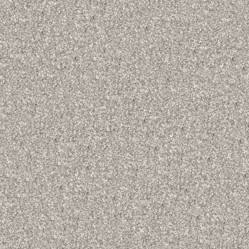 Tracker carpet by Masland
