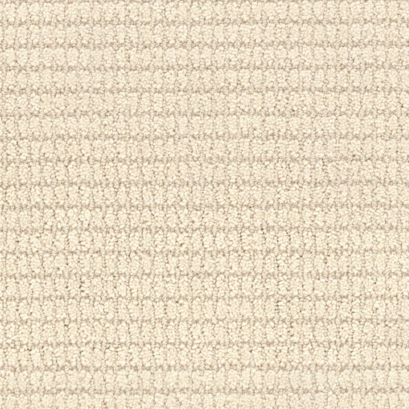 Defined carpet by Masland
