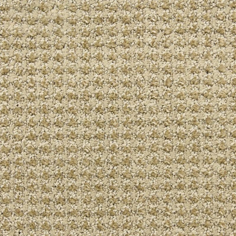 Alpha carpet by Masland