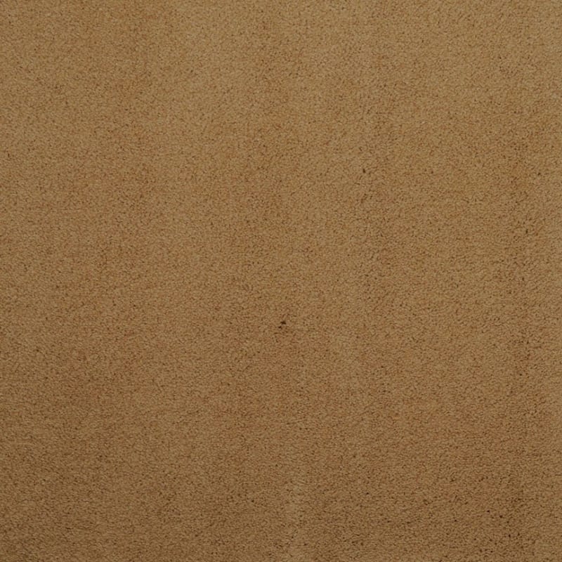 Silk Touch carpet by Masland