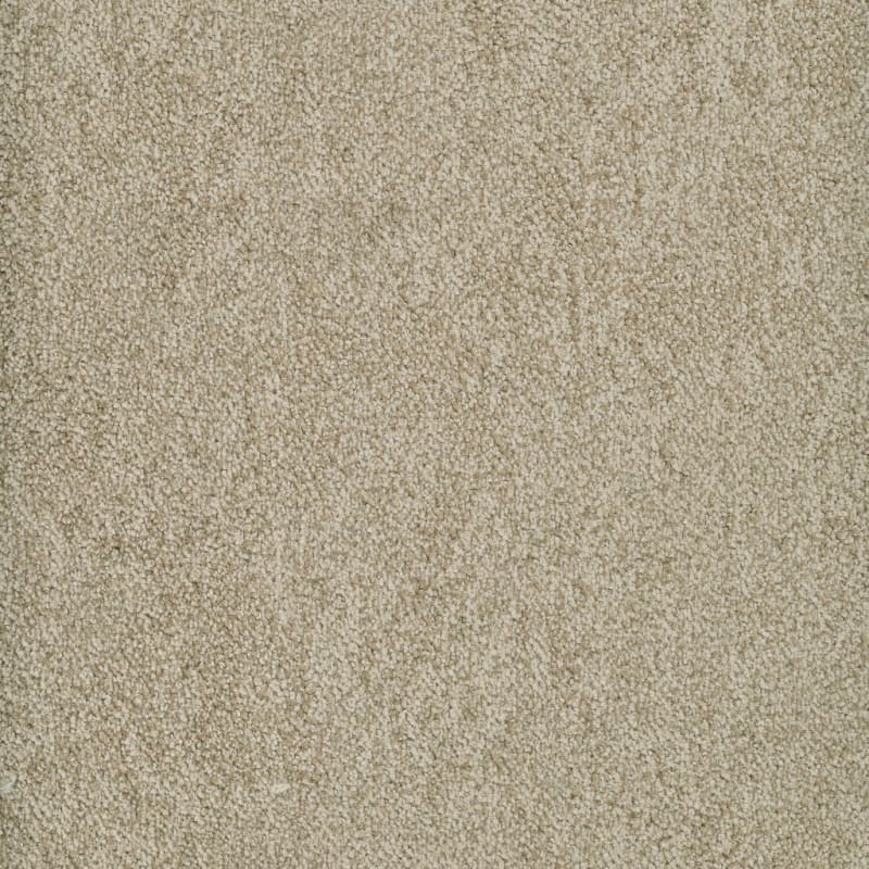 Buena Vida carpet by Masland