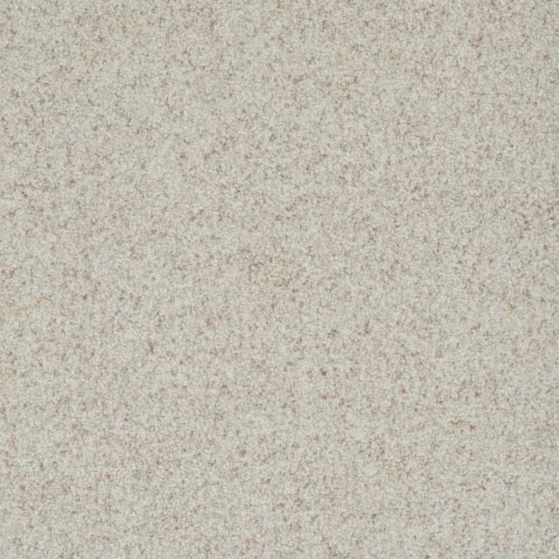 Boca Raton carpet by Masland