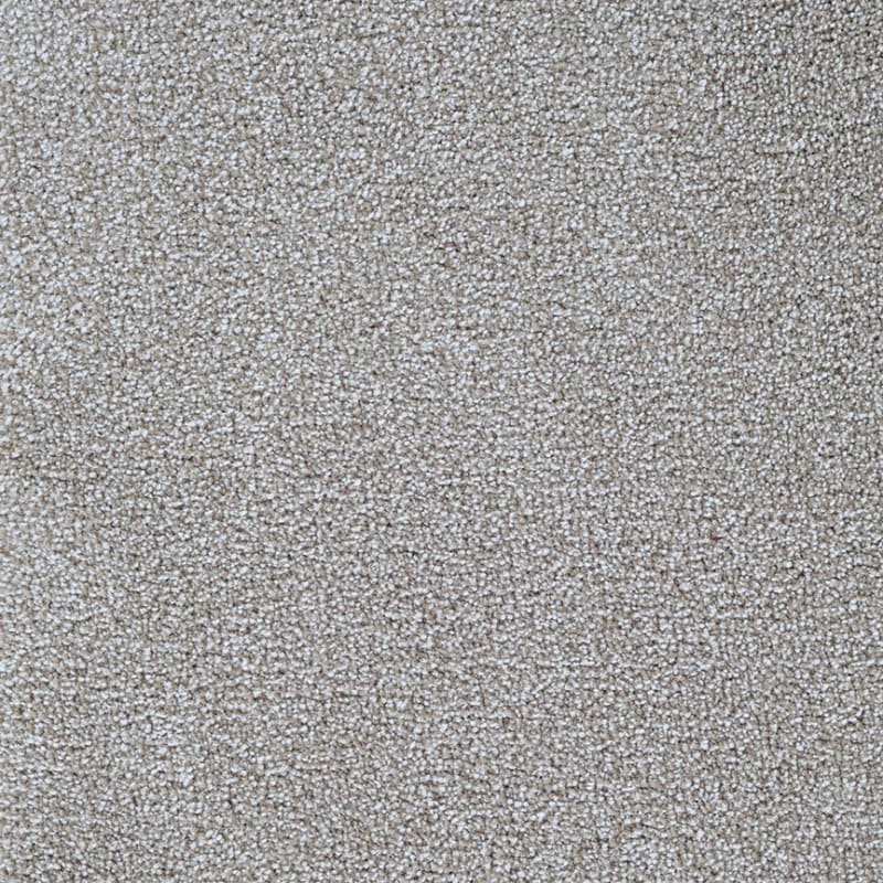 Delray carpet by Masland