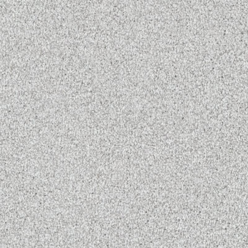 Santa Rosa carpet by Masland