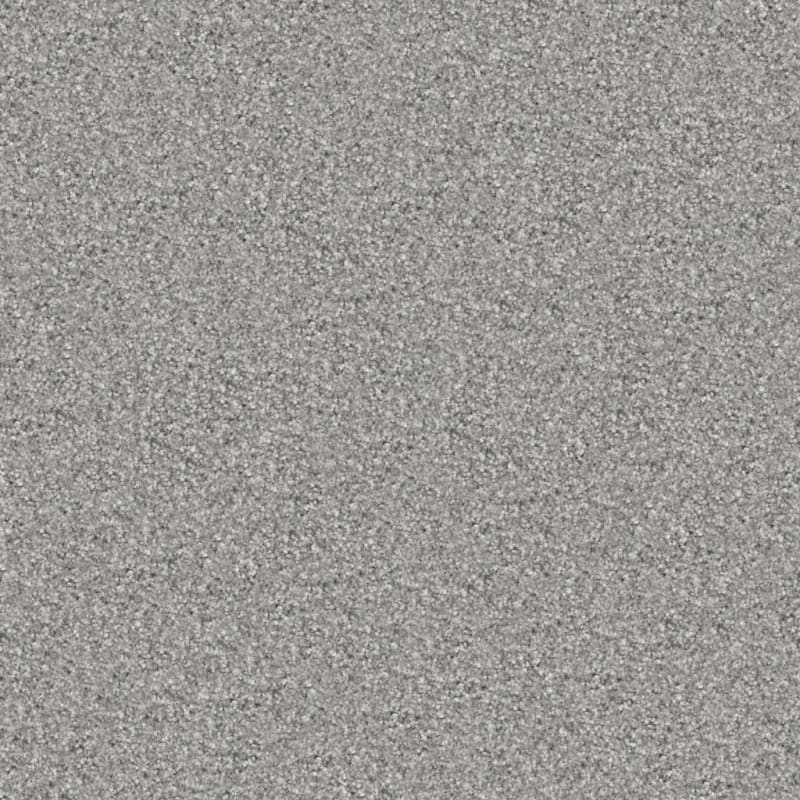 Tracker carpet by Masland