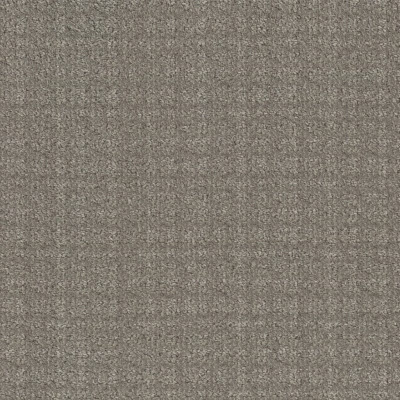 Purebred carpet by Masland
