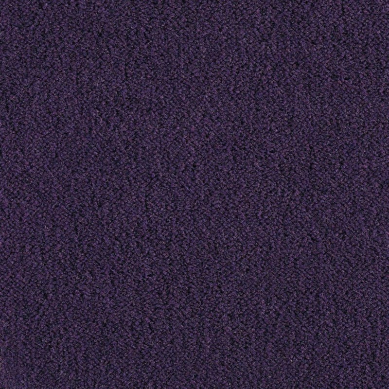 Panache carpet by Masland