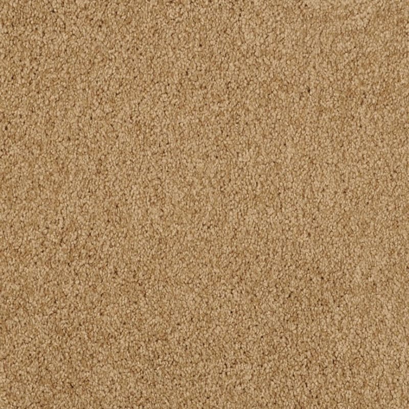 Miami carpet by Masland