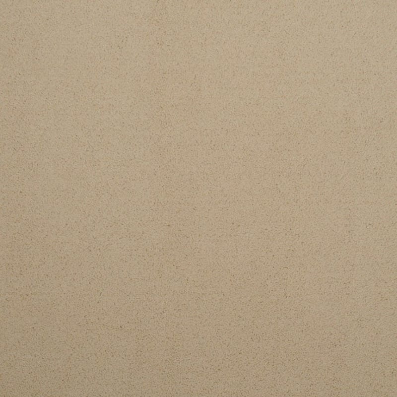 Silk Touch carpet by Masland