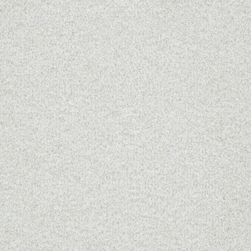 St. Augustine carpet by Masland