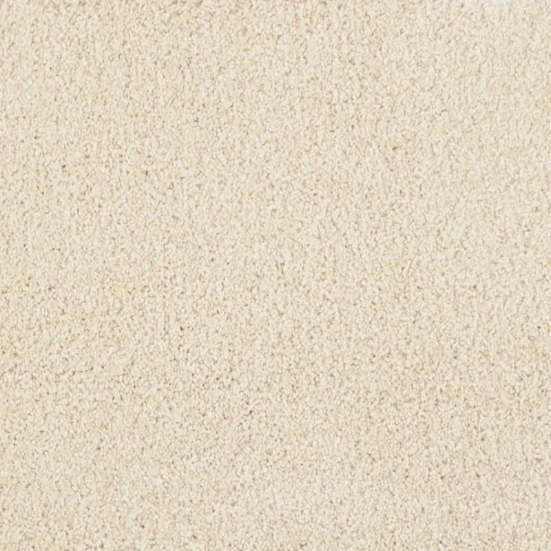 Miami carpet by Masland