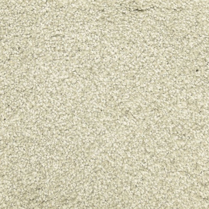 Delray carpet by Masland