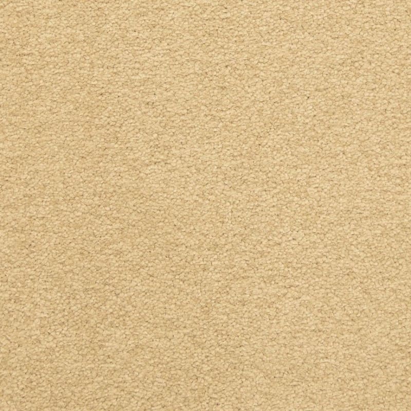 Patriot carpet by Masland