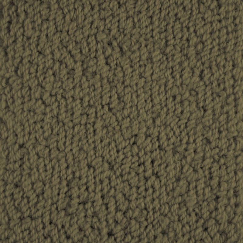 Novellino carpet by Masland