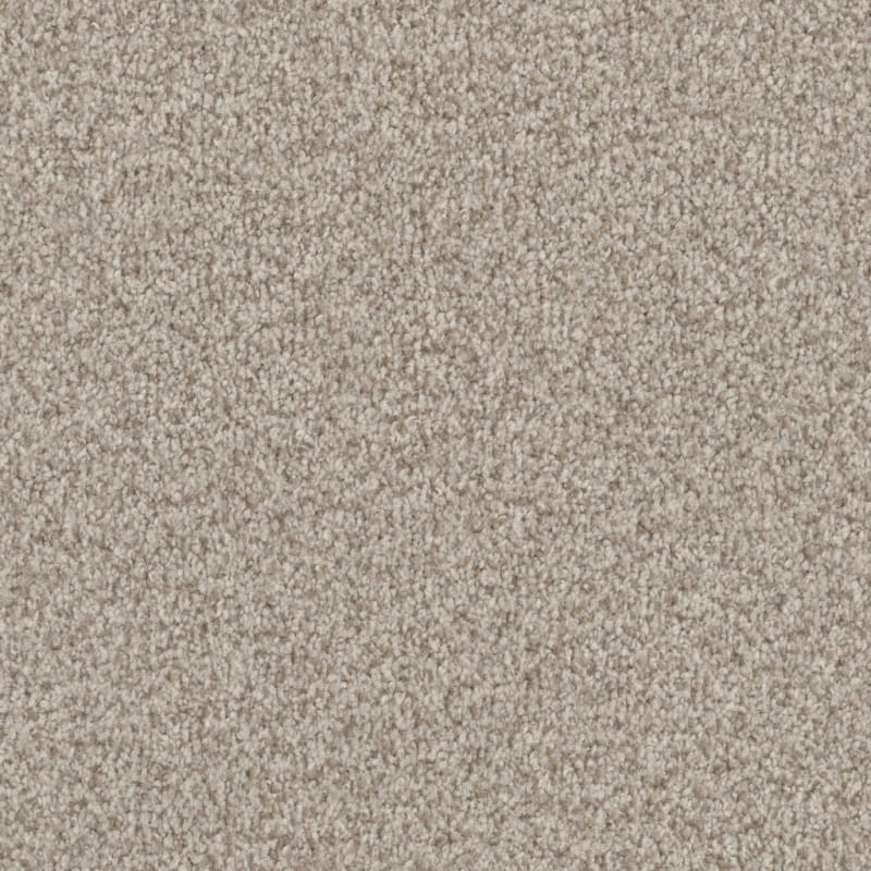 Santa Rosa carpet by Masland