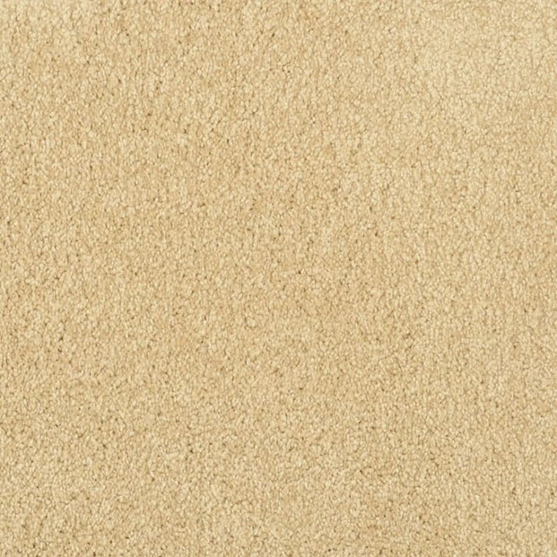 Miami carpet by Masland