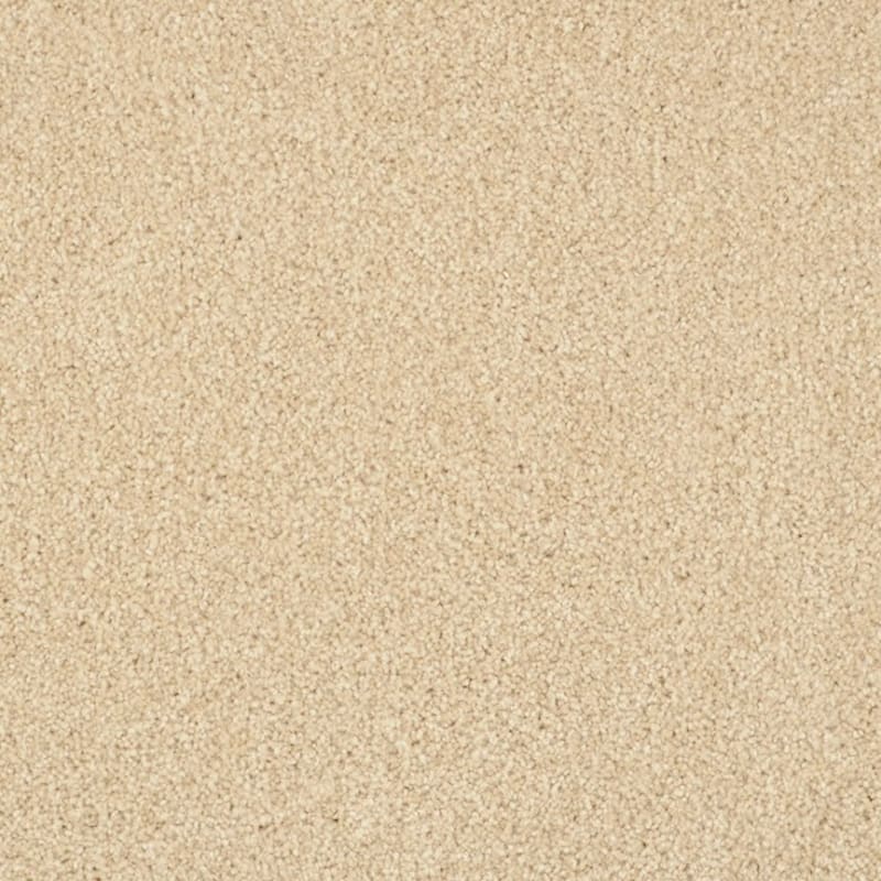 Miami carpet by Masland