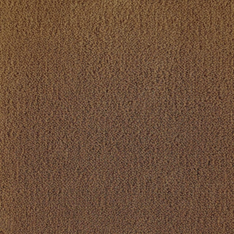 Panache carpet by Masland