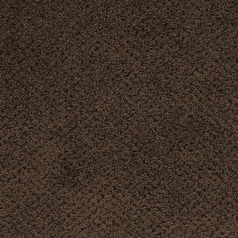Montauk carpet by Masland