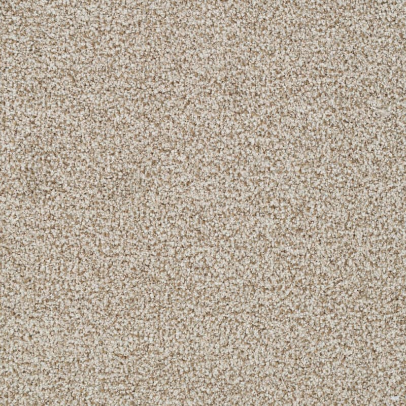 St. Augustine carpet by Masland