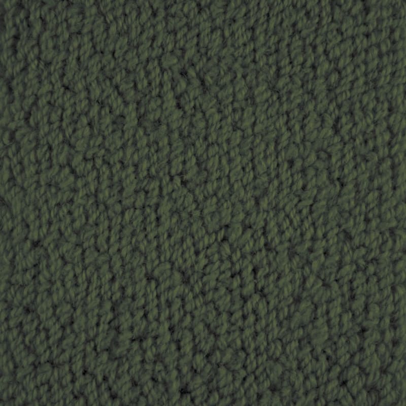 Novellino carpet by Masland