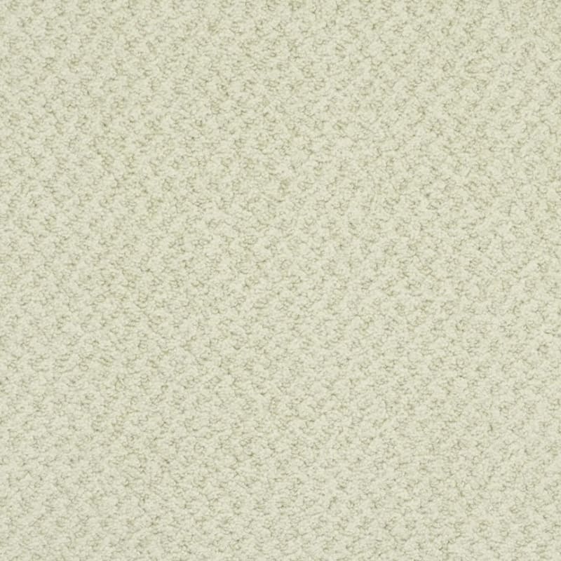 New Hope carpet by Masland