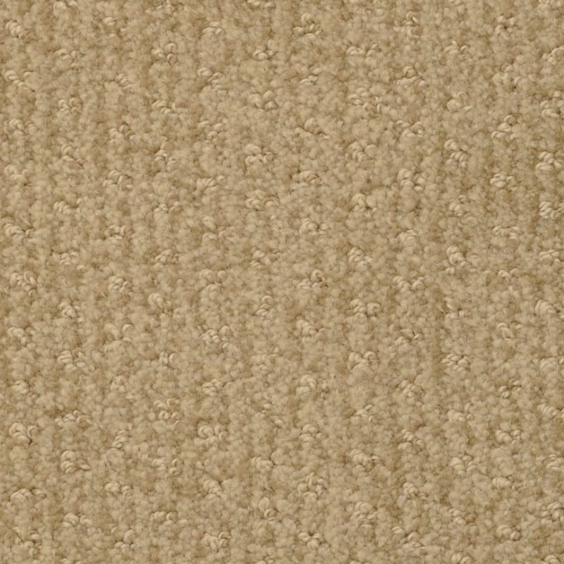 Pinehurst carpet by Masland
