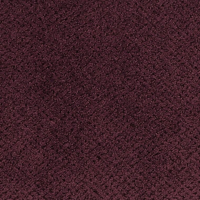 Montauk carpet by Masland