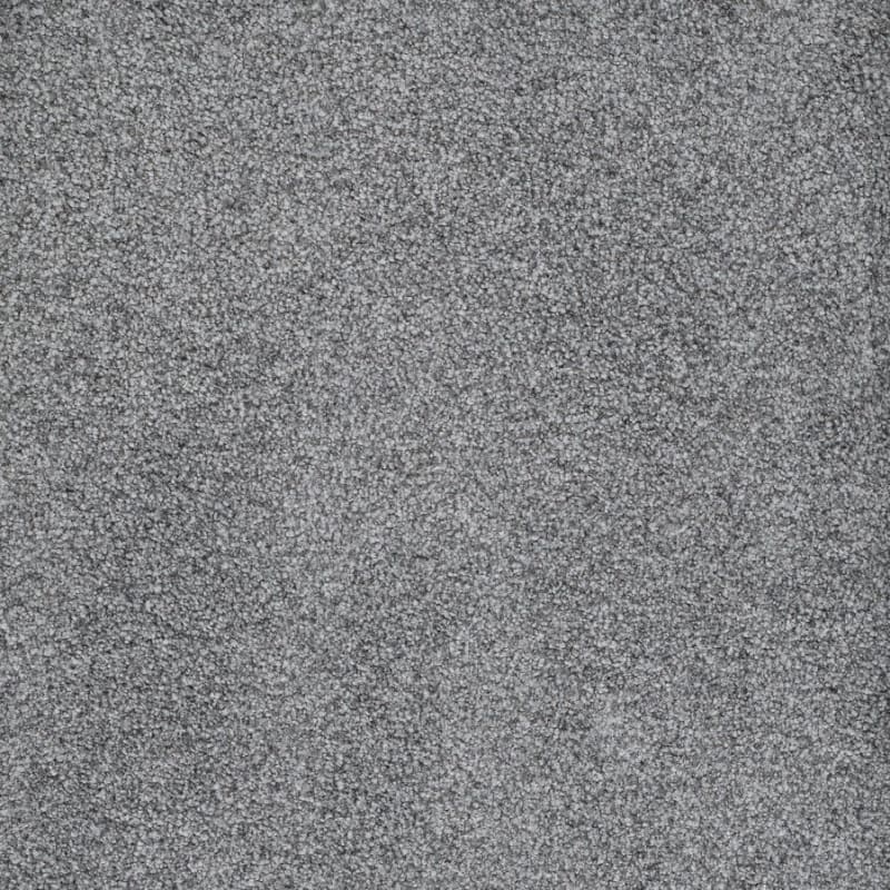 St. Augustine carpet by Masland