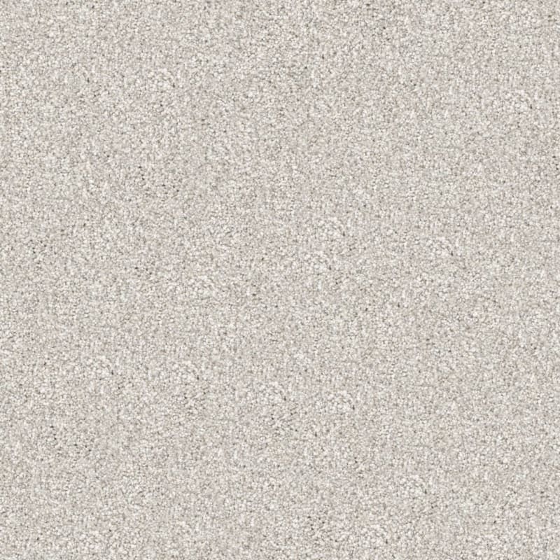 Tracker carpet by Masland