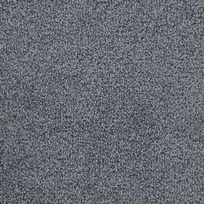 St. Augustine carpet by Masland