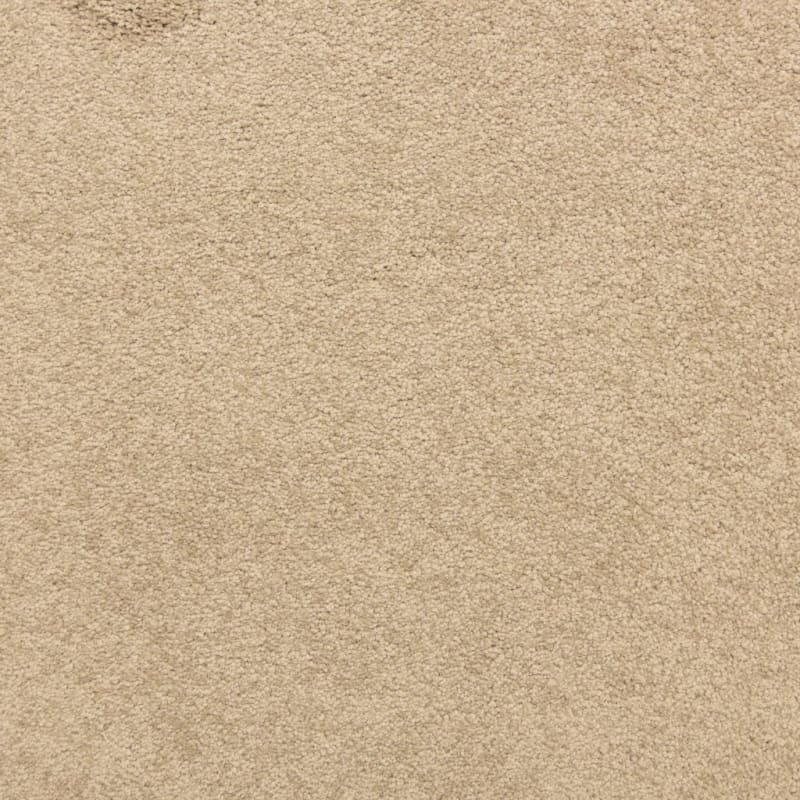 Knockout carpet by Masland