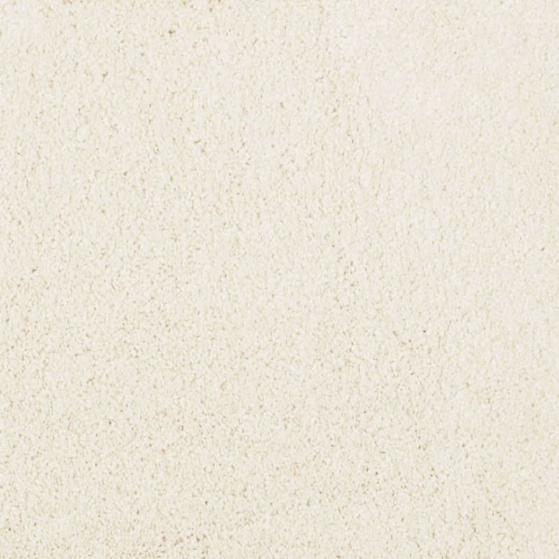 Miami carpet by Masland