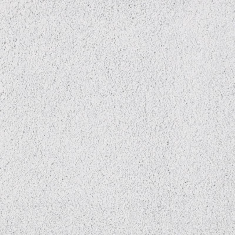 Miami carpet by Masland