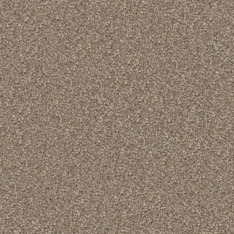 Tracker carpet by Masland