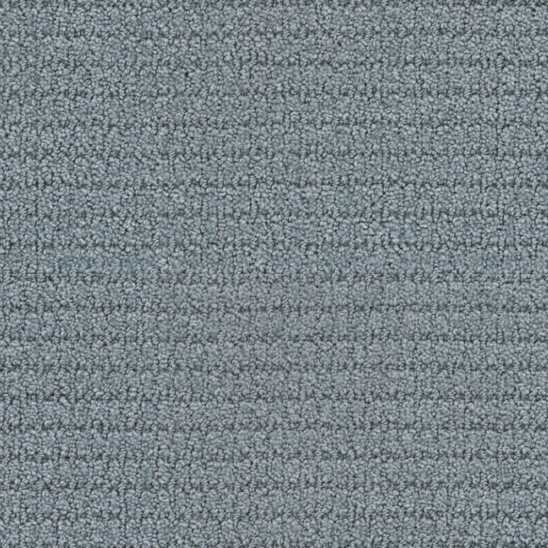 Defined carpet by Masland