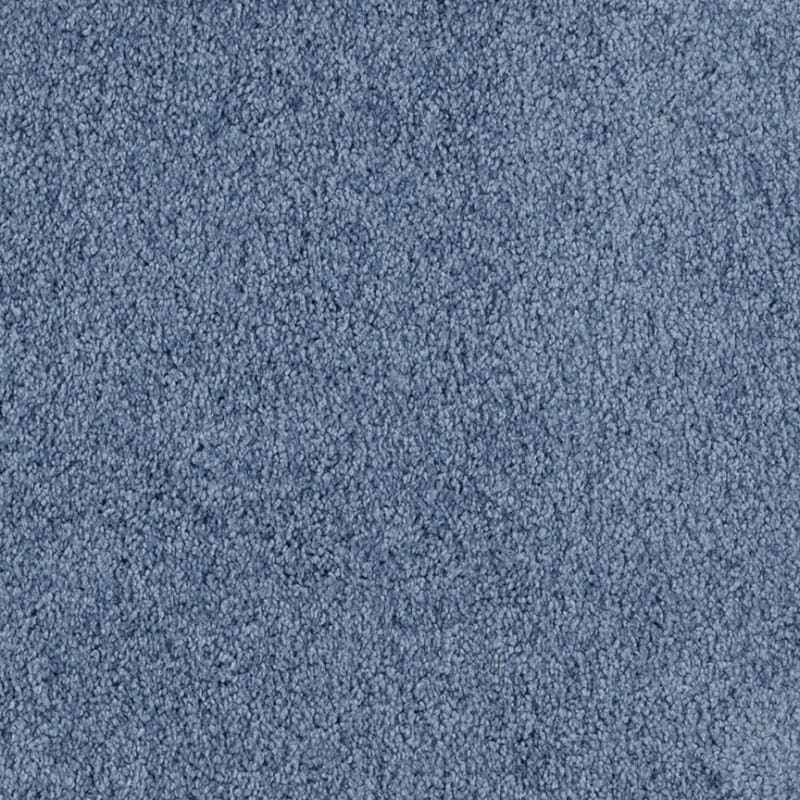 Miami carpet by Masland
