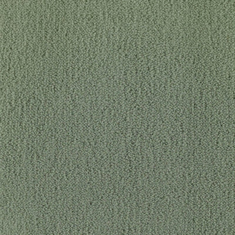 Panache carpet by Masland