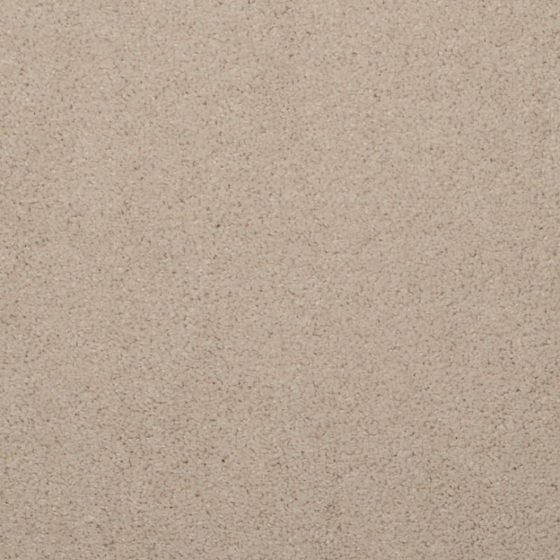 Embrace carpet by Masland