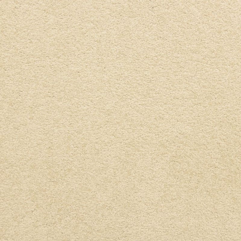 Knockout carpet by Masland