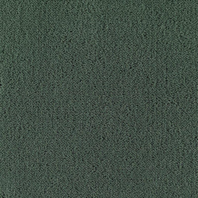 Panache carpet by Masland