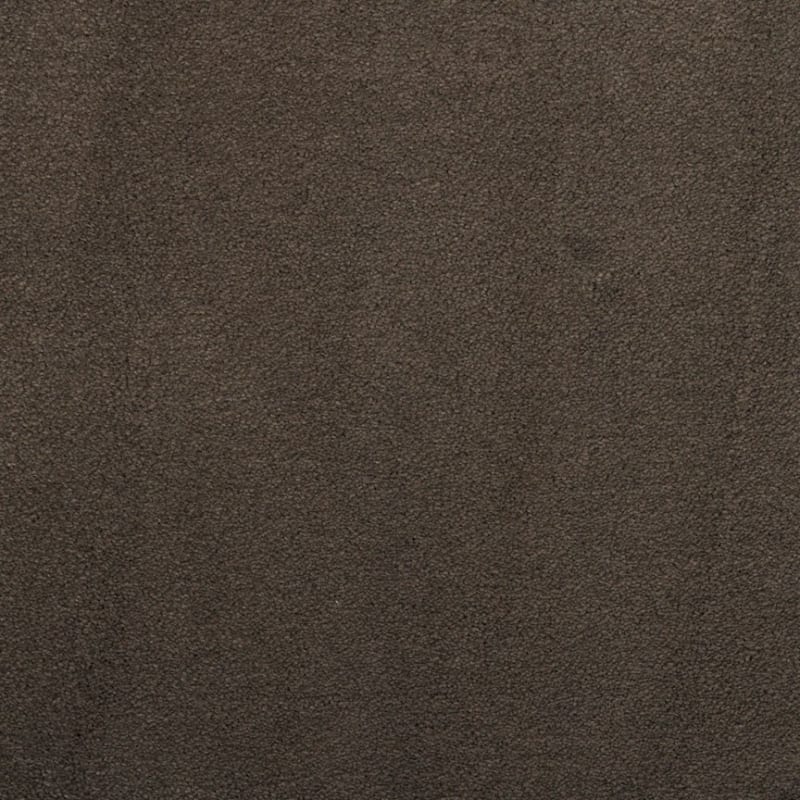 Silk Touch carpet by Masland
