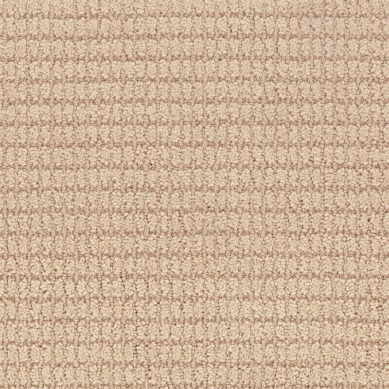 Defined carpet by Masland