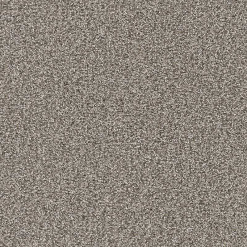 Tracker carpet by Masland