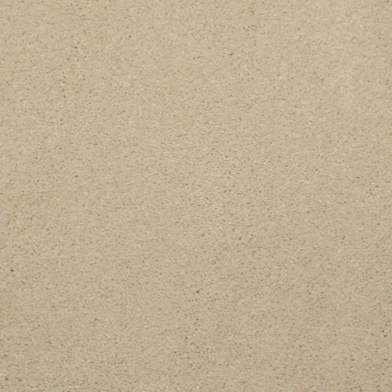 Embrace carpet by Masland