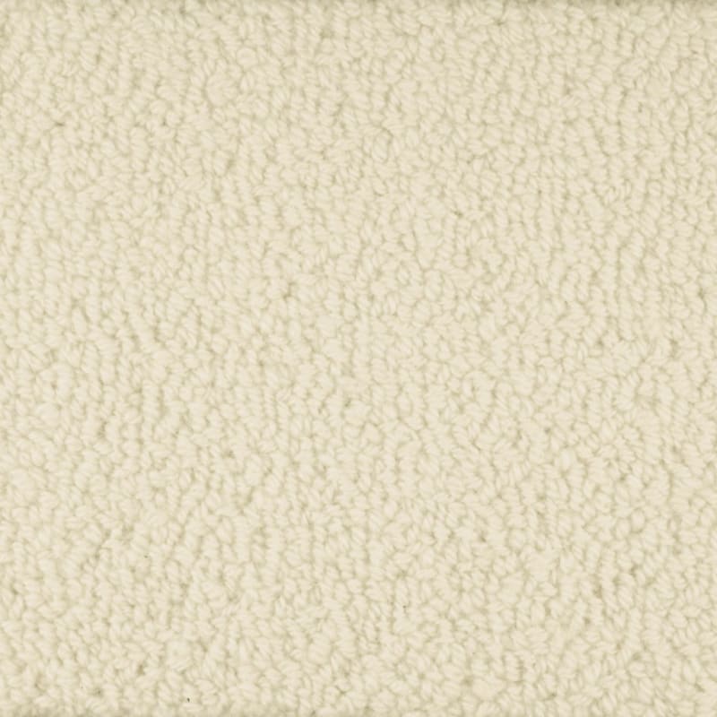 Wexford carpet by Masland