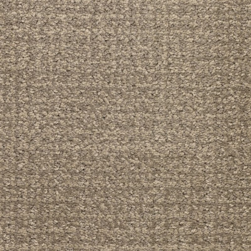 Pedigree carpet by Masland