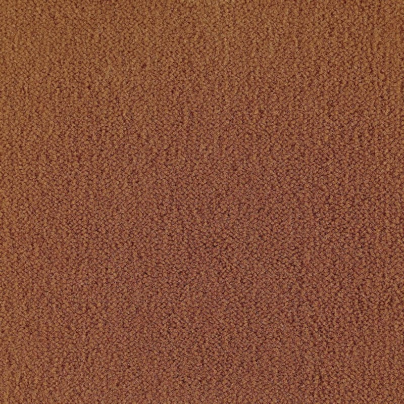Panache carpet by Masland