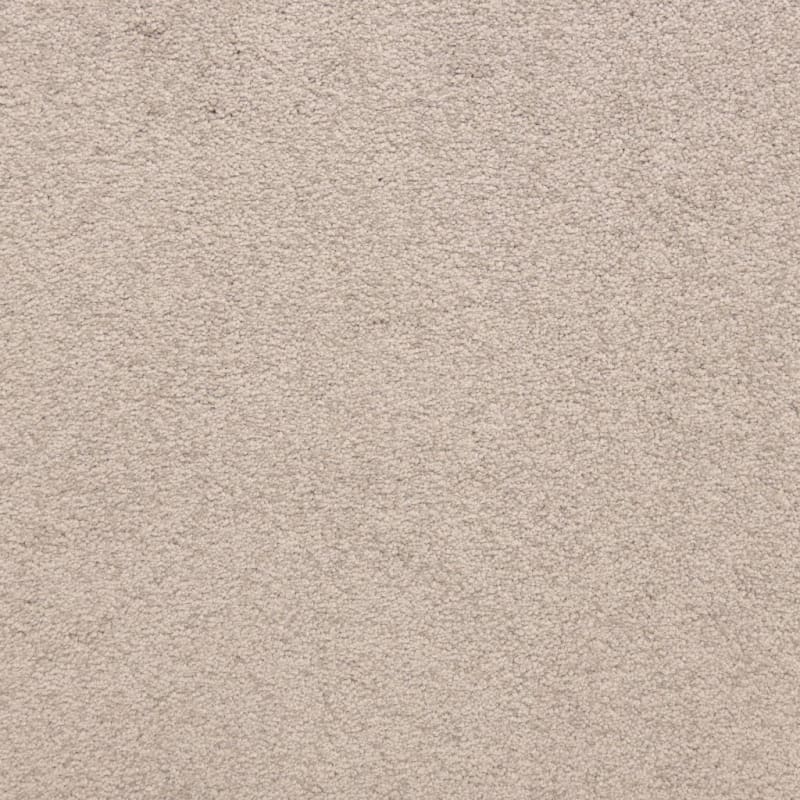 Knockout carpet by Masland