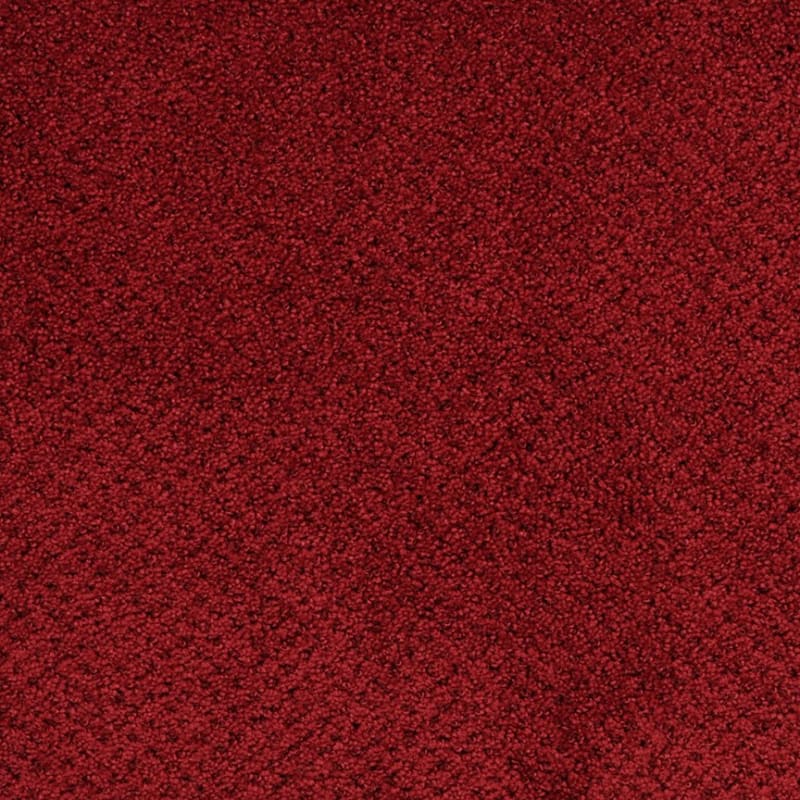 Montauk carpet by Masland